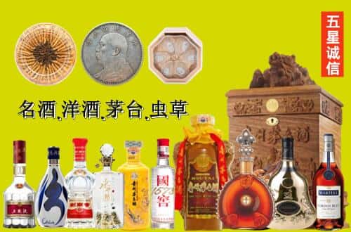 龙马潭区国尊烟酒商行